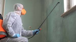 Best Industrial Mold Remediation  in Canton, NC