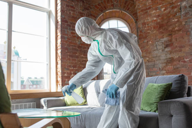 Best Mold Remediation for Healthcare Facilities  in Canton, NC